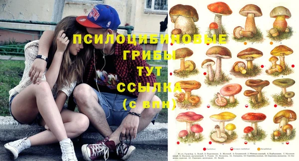 наркотики Заволжск