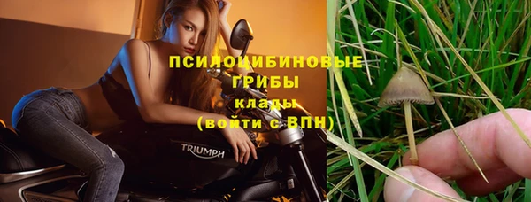 мяу мяу мука Заводоуковск